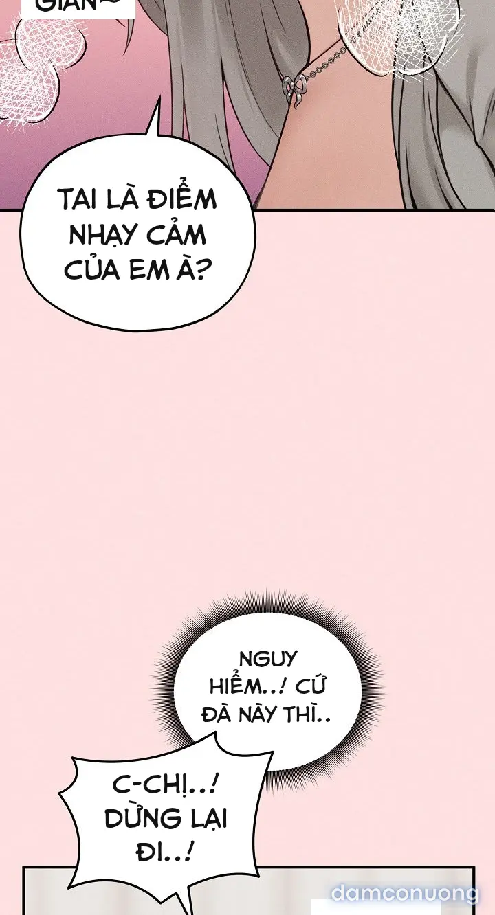 Trò chơi cờ bàn thú vị: 