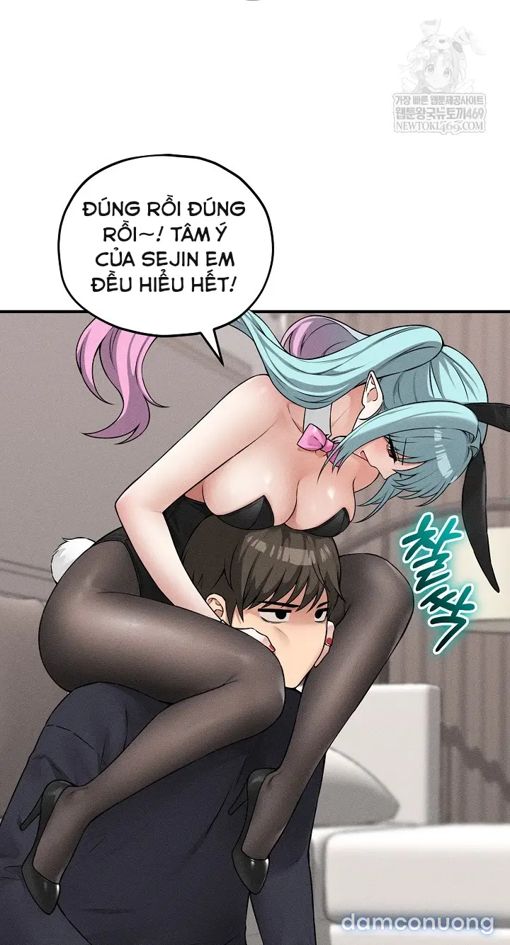 Trò chơi cờ bàn thú vị: 