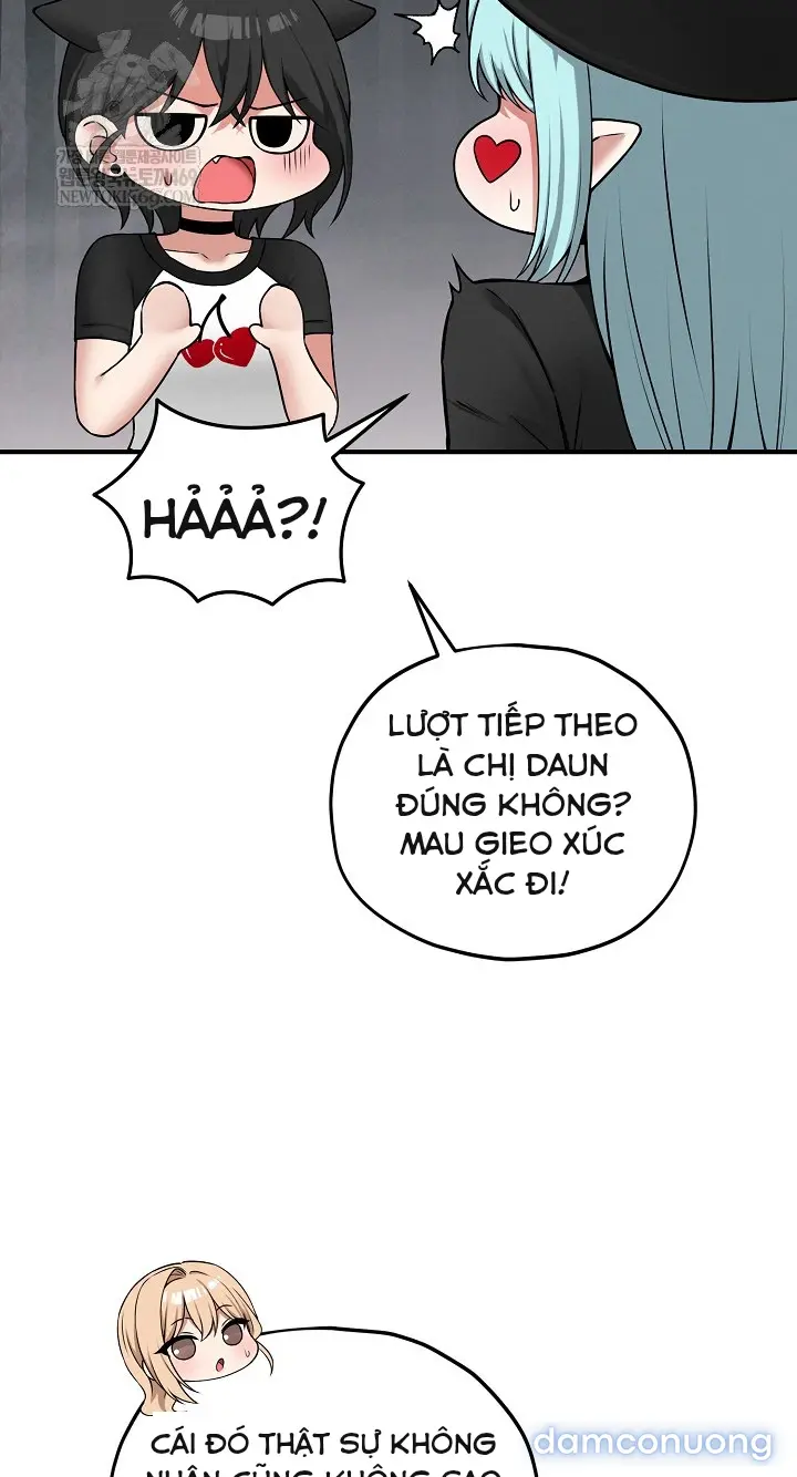 Trò chơi cờ bàn thú vị: 