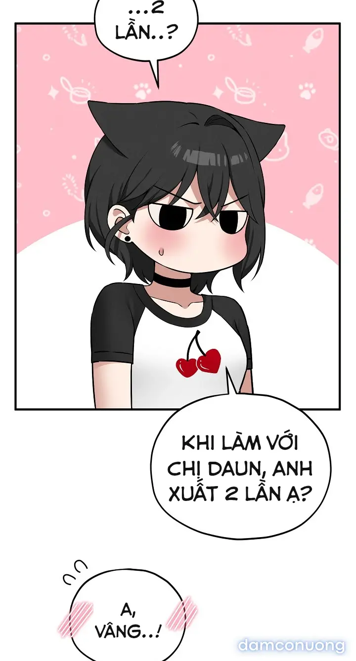 Trò chơi cờ bàn thú vị: 