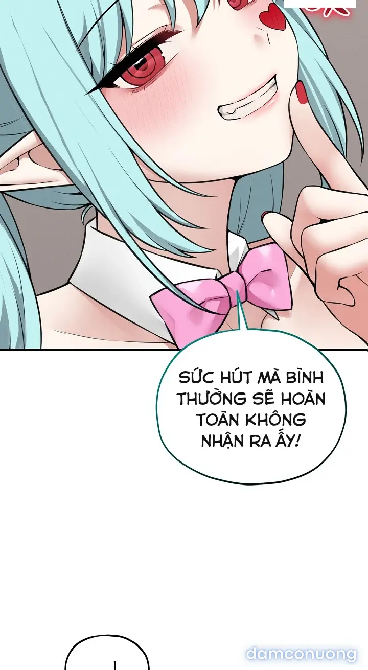 Trò chơi cờ bàn thú vị: 