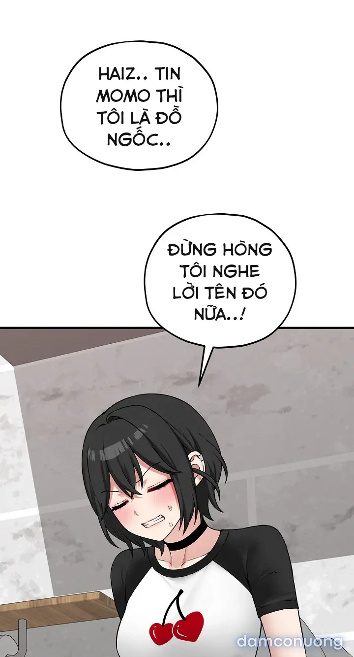 Trò chơi cờ bàn thú vị: 