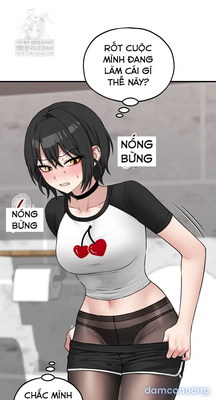 Trò chơi cờ bàn thú vị: 