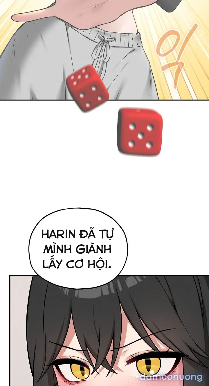 Trò chơi cờ bàn thú vị: 