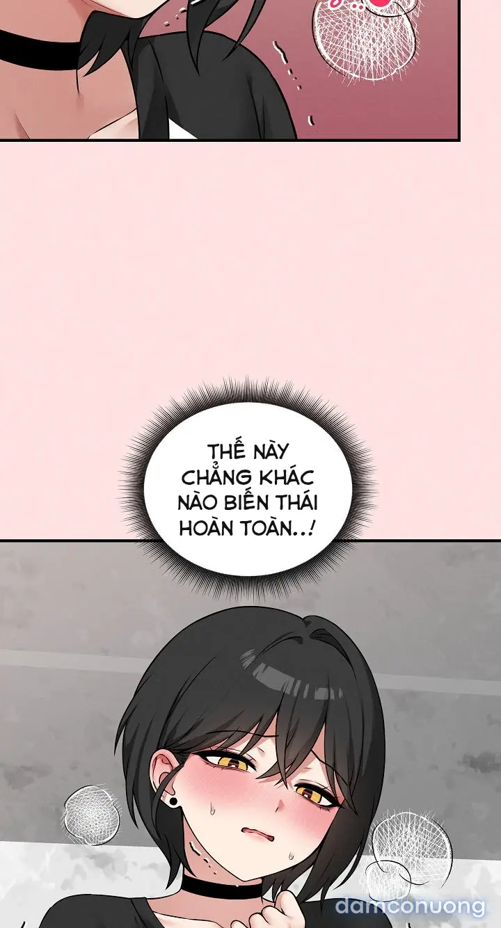 Trò chơi cờ bàn thú vị: 