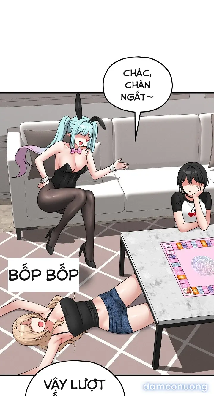 Trò chơi cờ bàn thú vị: 