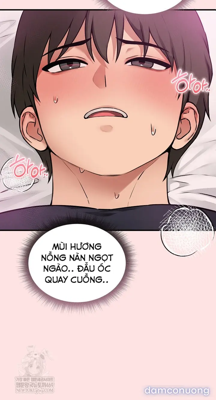 Trò chơi cờ bàn thú vị: 