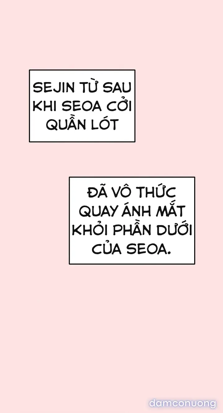 Trò chơi cờ bàn thú vị: 
