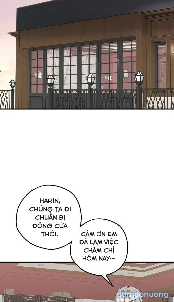 Trò chơi cờ bàn thú vị: 