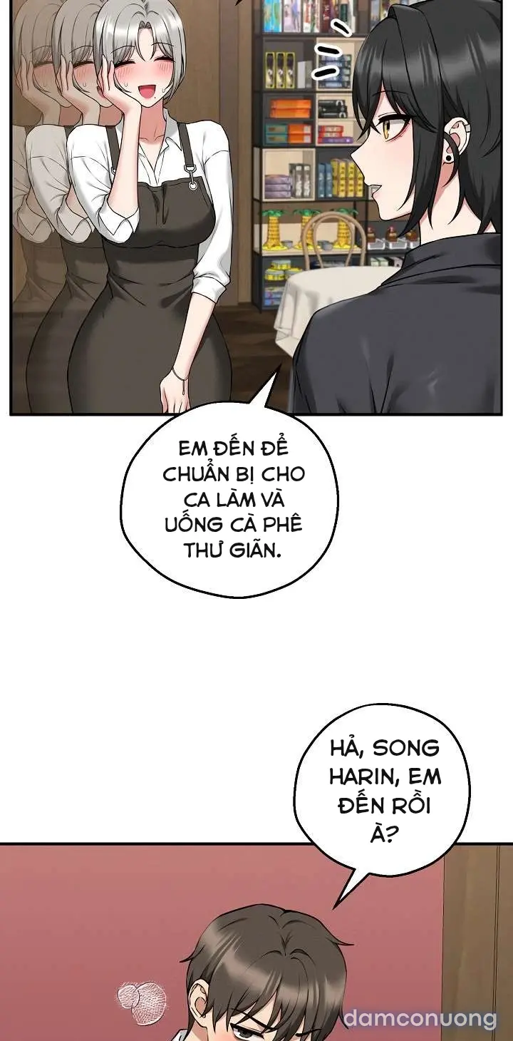 Trò chơi cờ bàn thú vị: 