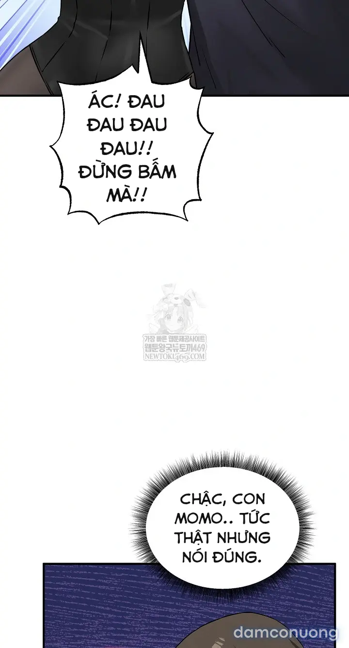 Trò chơi cờ bàn thú vị: 