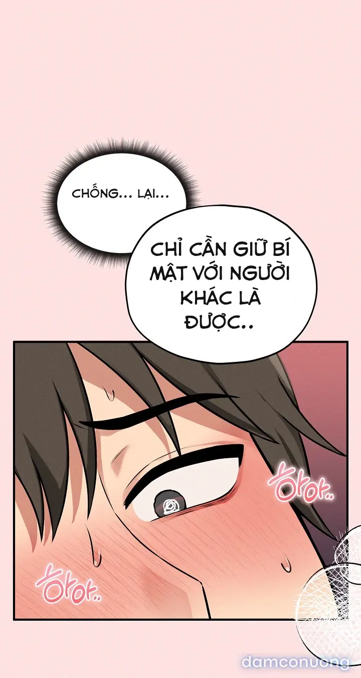 Trò chơi cờ bàn thú vị: 