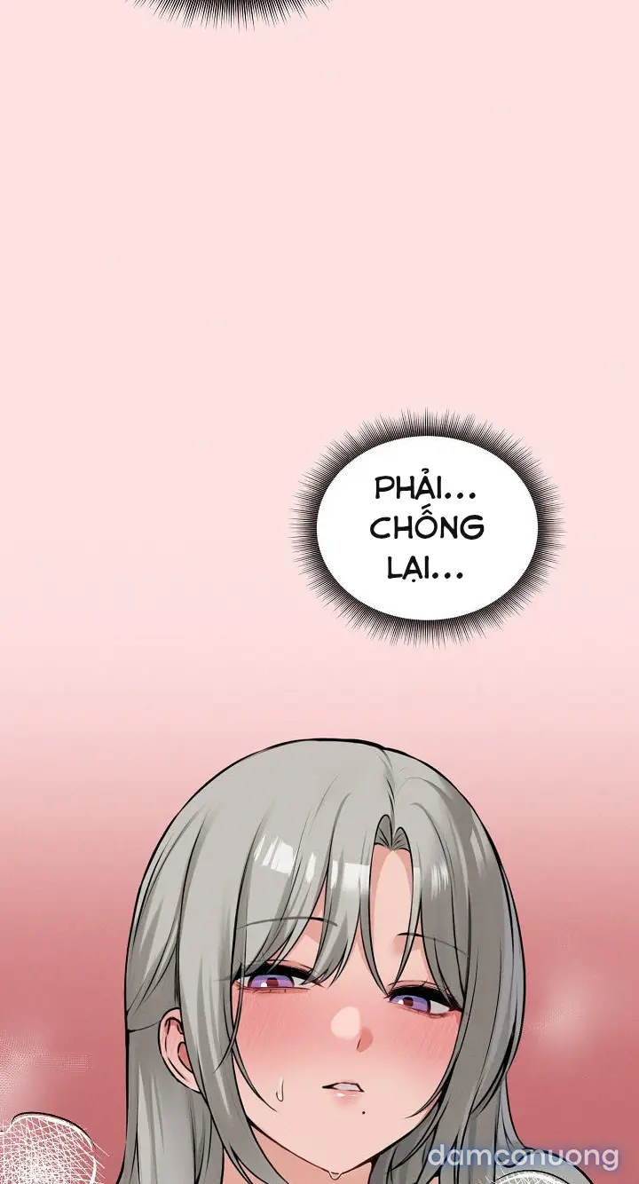 Trò chơi cờ bàn thú vị: 