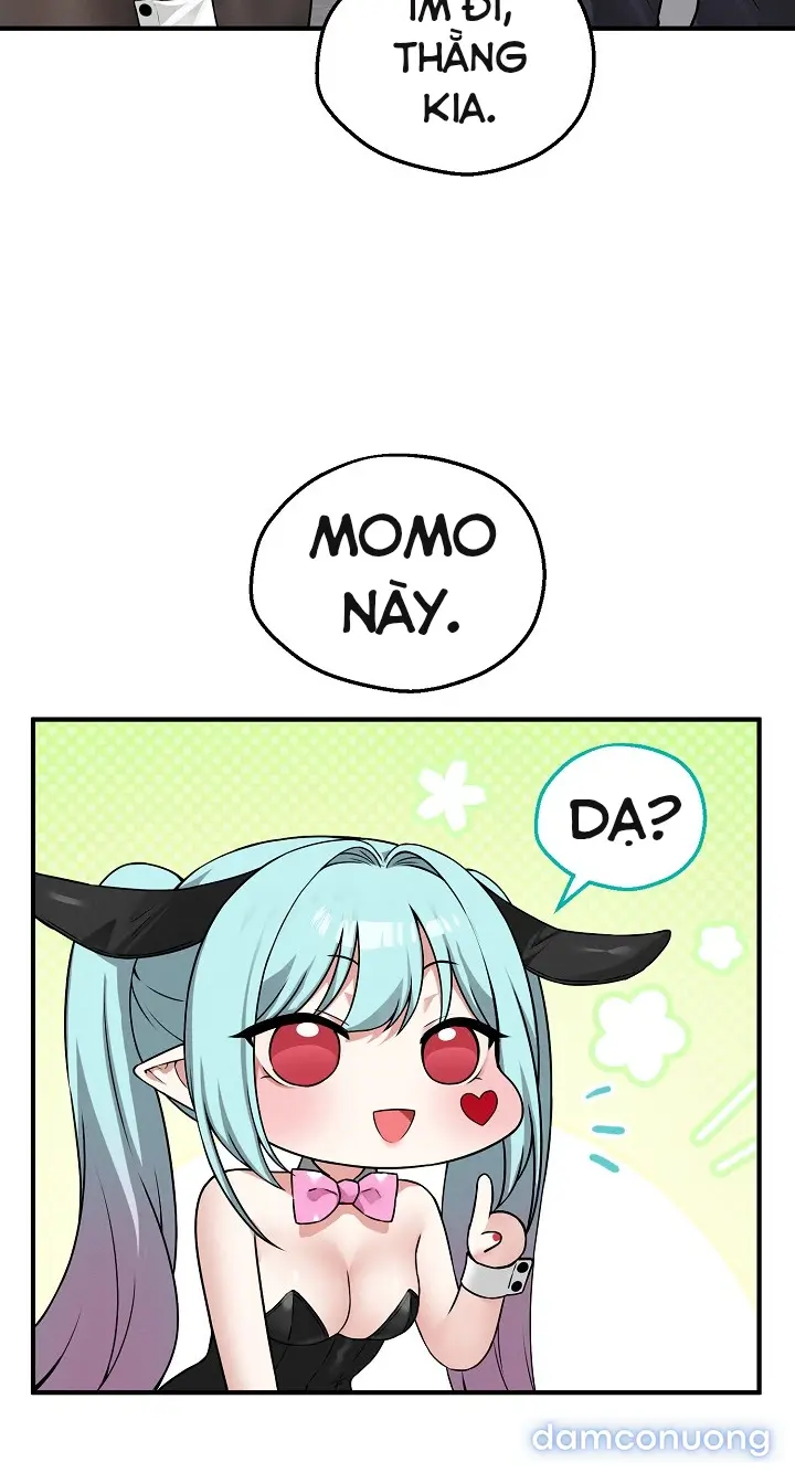 Trò chơi cờ bàn thú vị: 