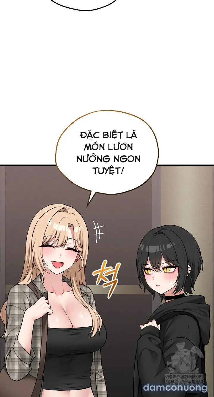 Trò chơi cờ bàn thú vị: 