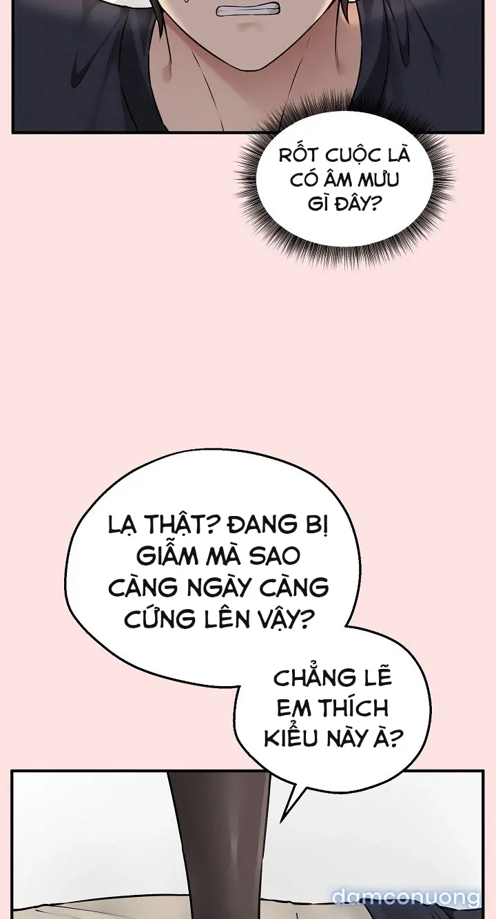 Trò chơi cờ bàn thú vị: 
