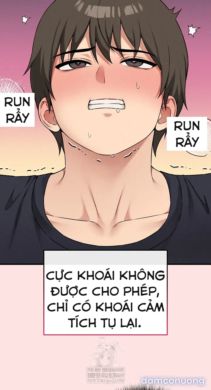 Trò chơi cờ bàn thú vị: 
