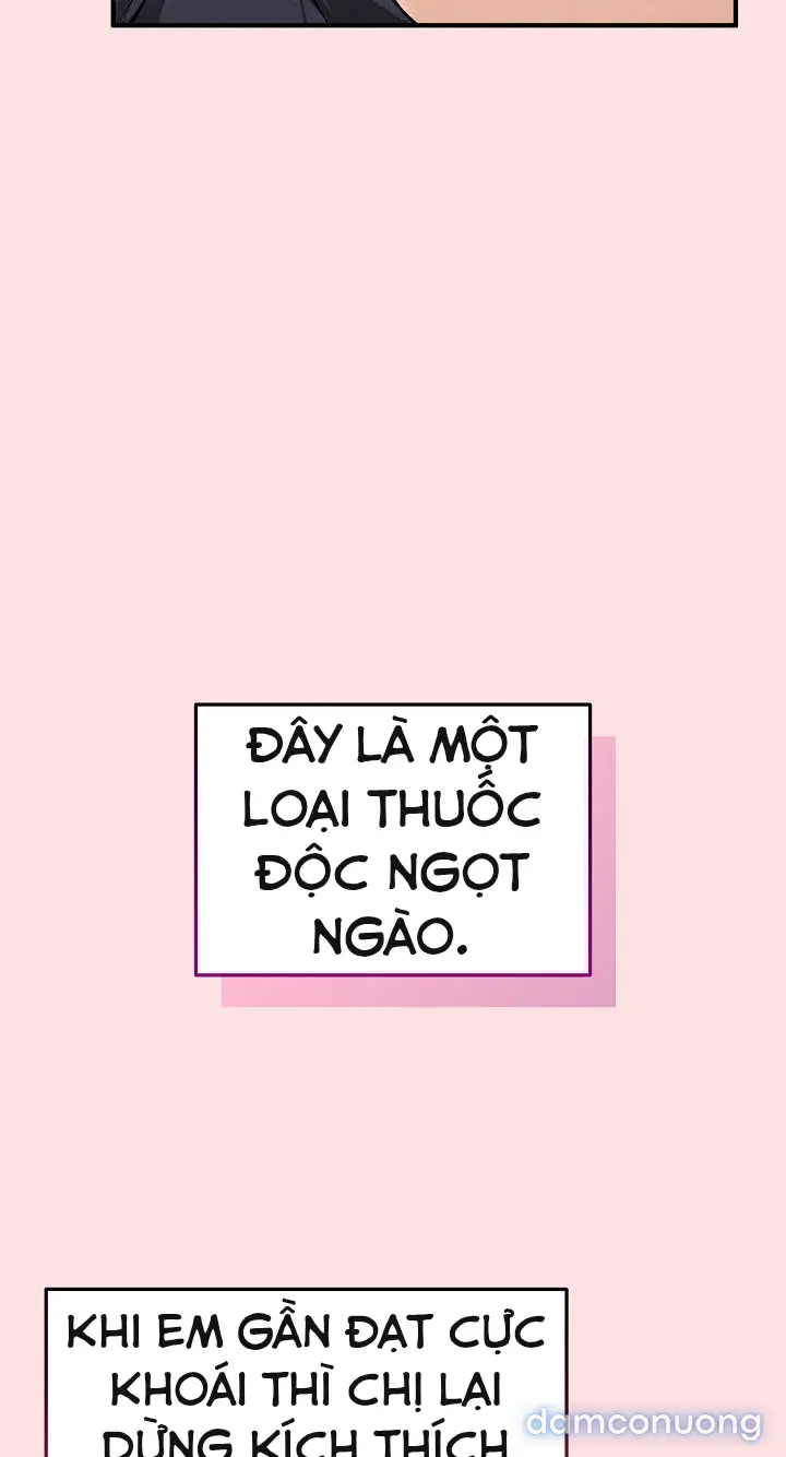 Trò chơi cờ bàn thú vị: 