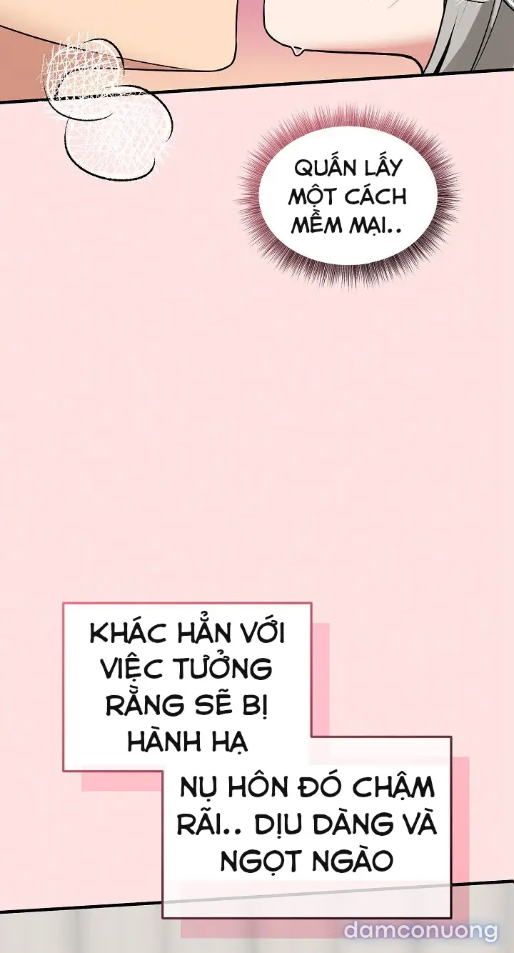 Trò chơi cờ bàn thú vị: 