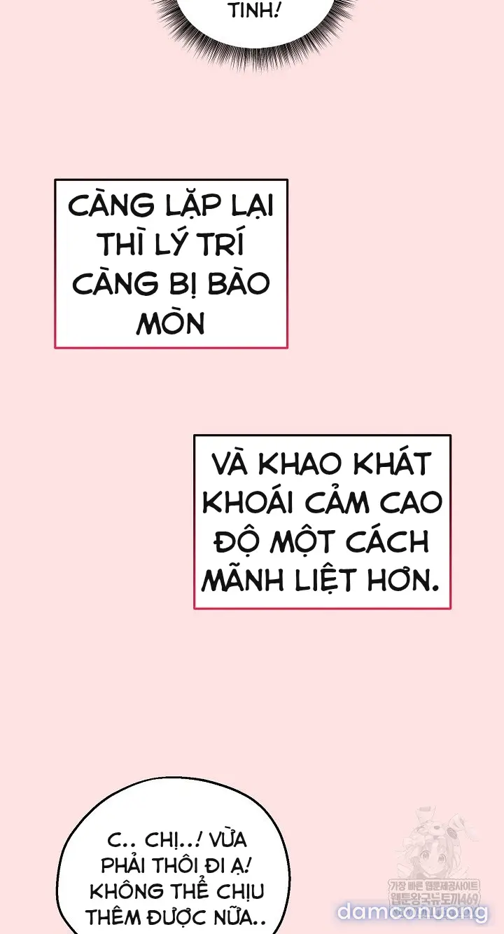 Trò chơi cờ bàn thú vị: 