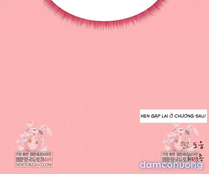 Trò chơi cờ bàn thú vị: 