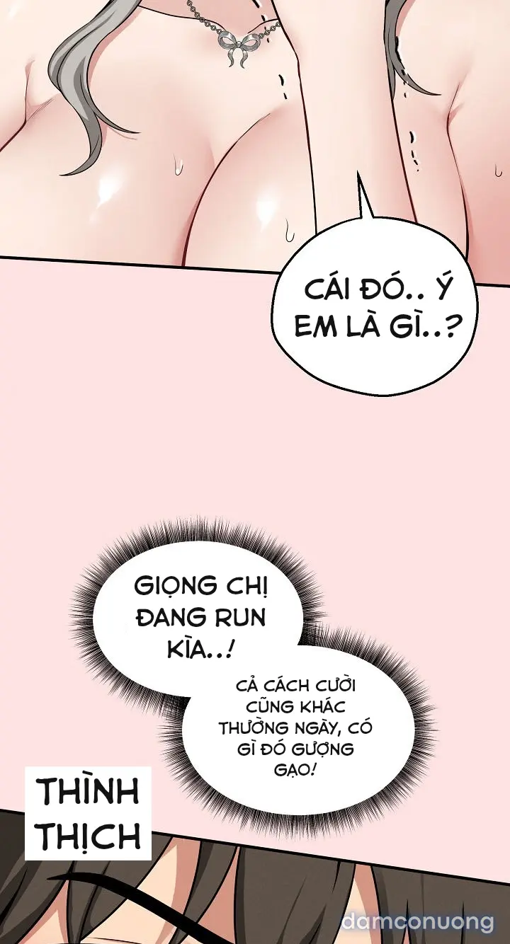 Trò chơi cờ bàn thú vị: 