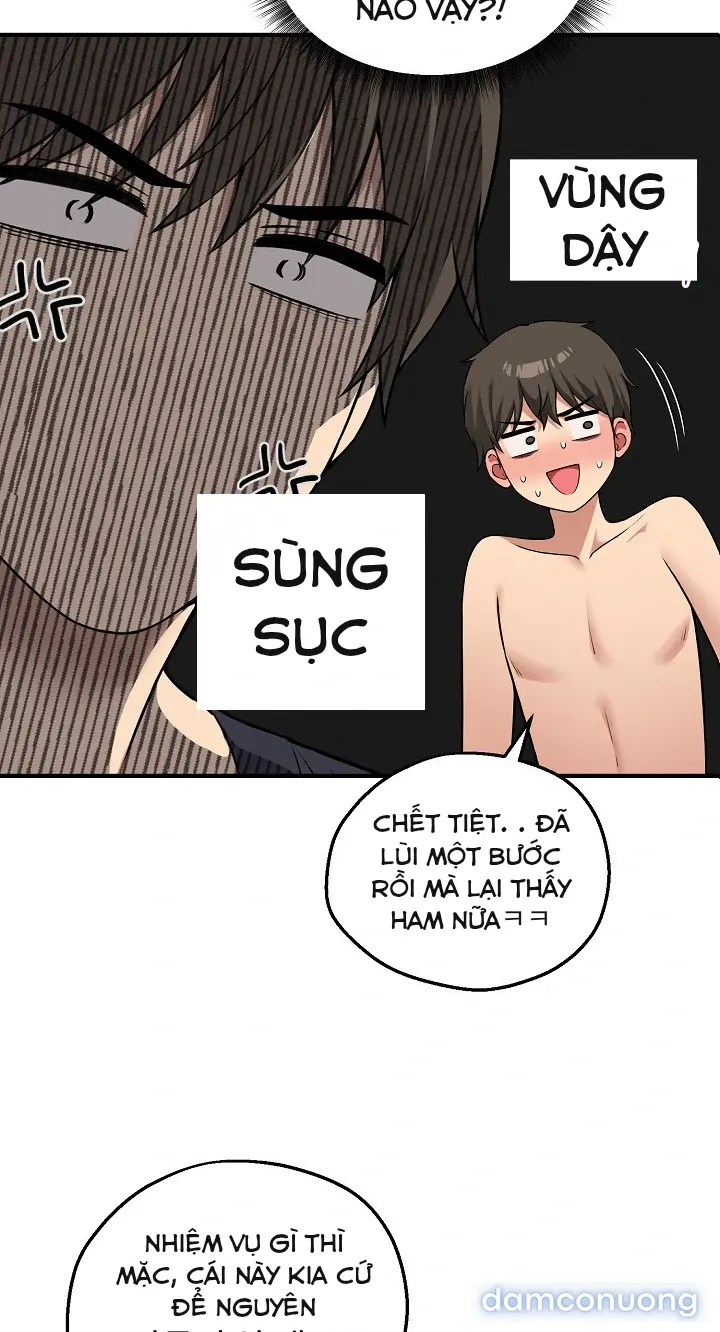 Trò chơi cờ bàn thú vị: 