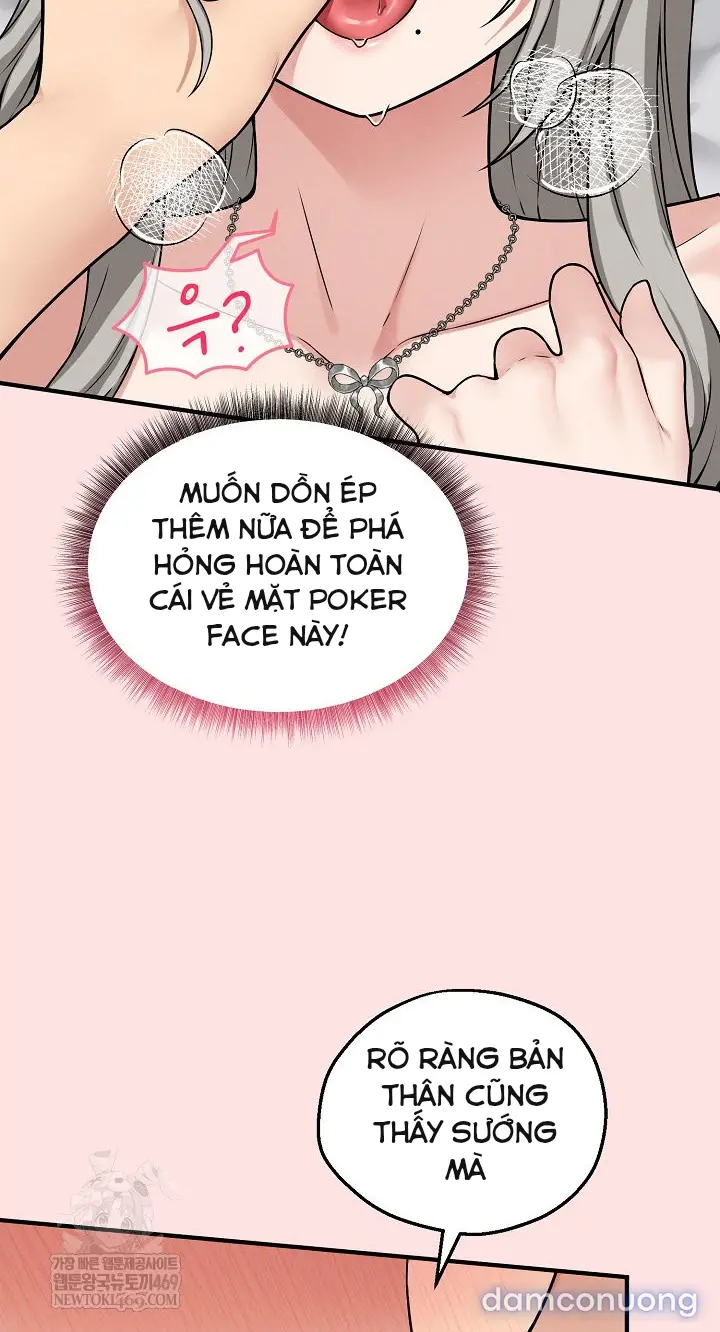 Trò chơi cờ bàn thú vị: 