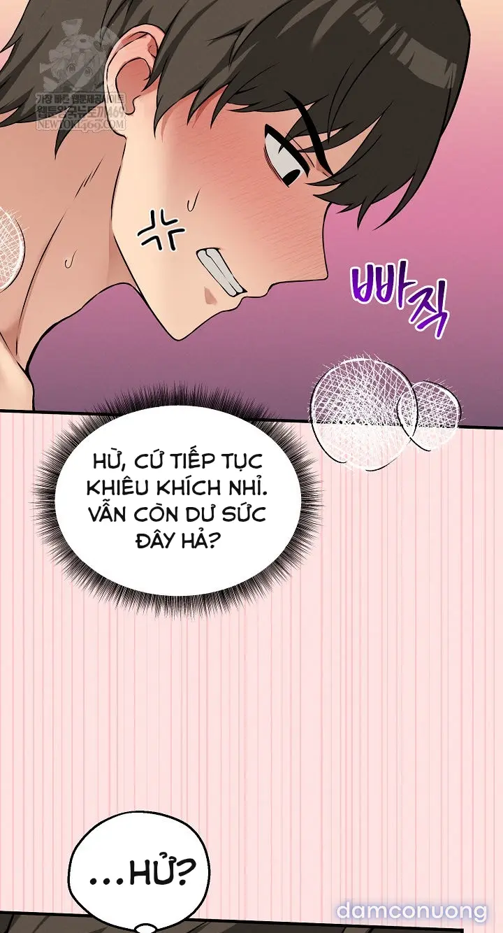 Trò chơi cờ bàn thú vị: 