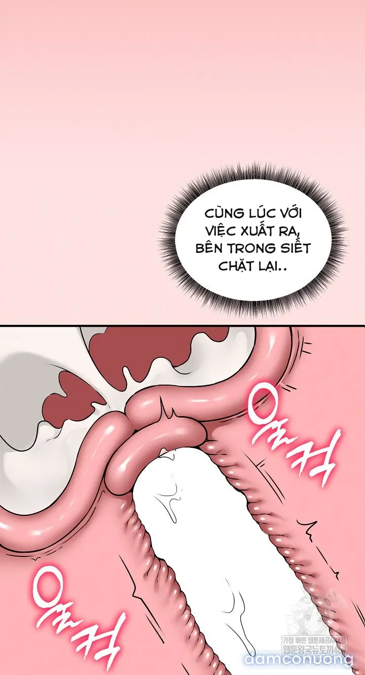 Trò chơi cờ bàn thú vị: 