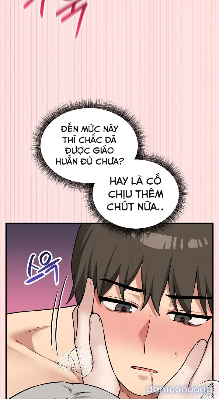 Trò chơi cờ bàn thú vị: 