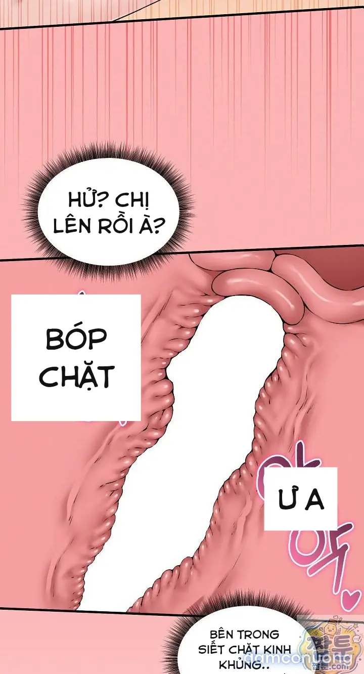 Trò chơi cờ bàn thú vị: 