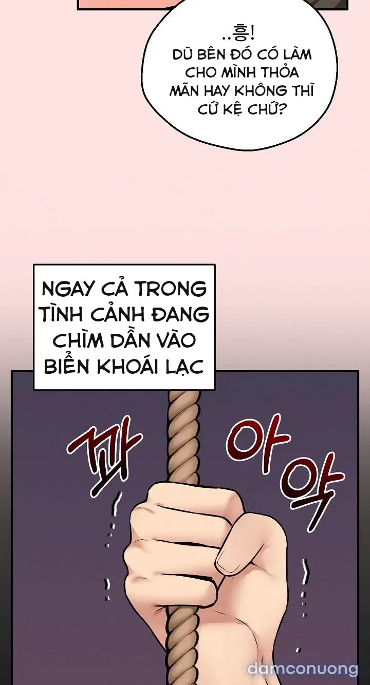 Trò chơi cờ bàn thú vị: 