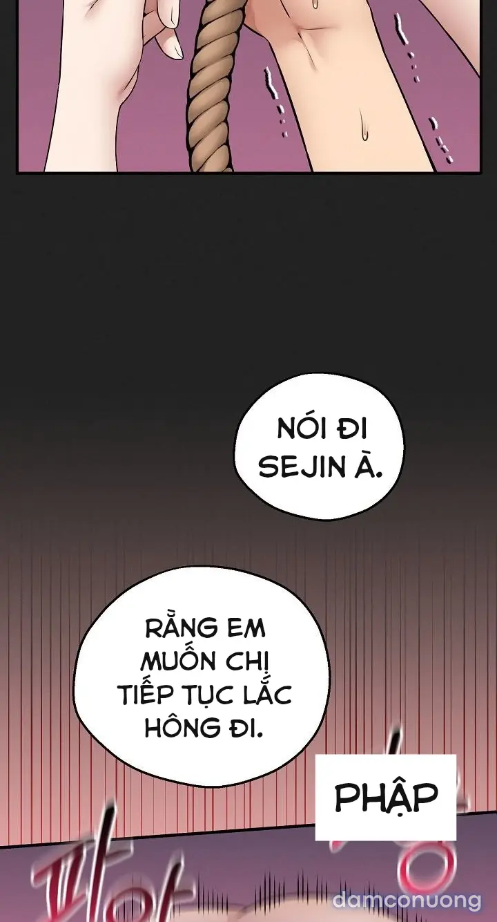 Trò chơi cờ bàn thú vị: 