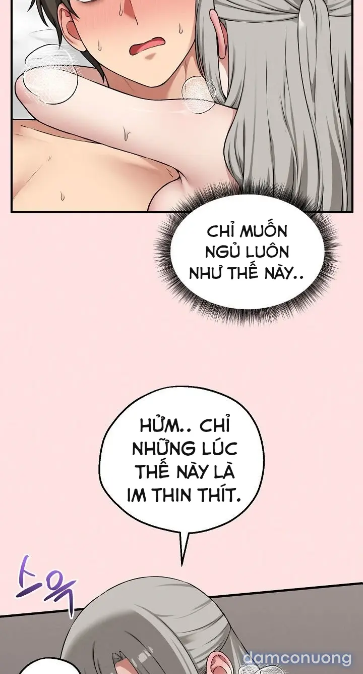 Trò chơi cờ bàn thú vị: 