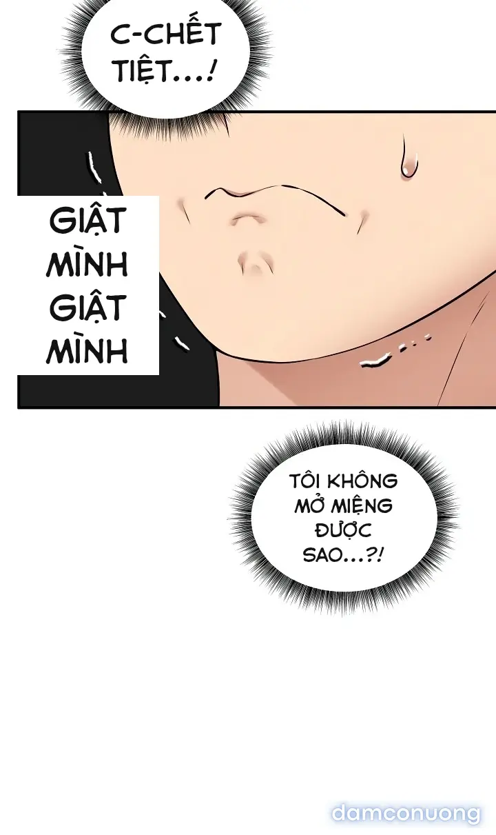 Trò chơi cờ bàn thú vị: 