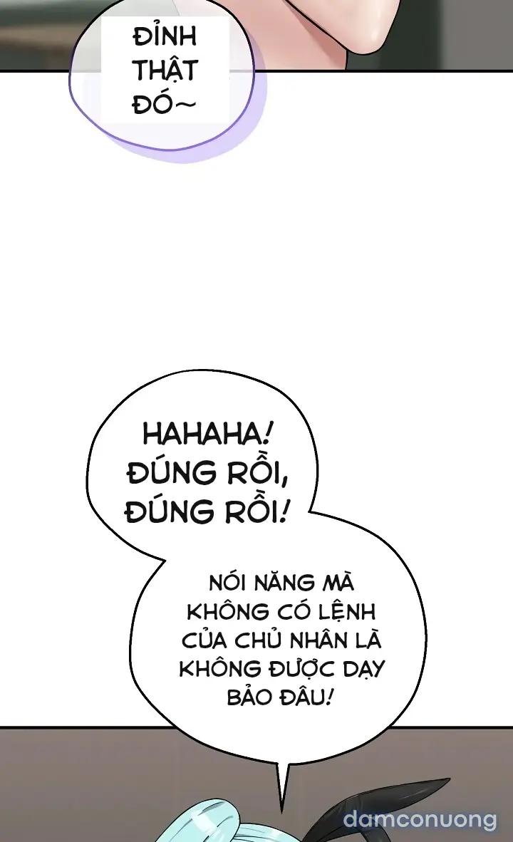 Trò chơi cờ bàn thú vị: 