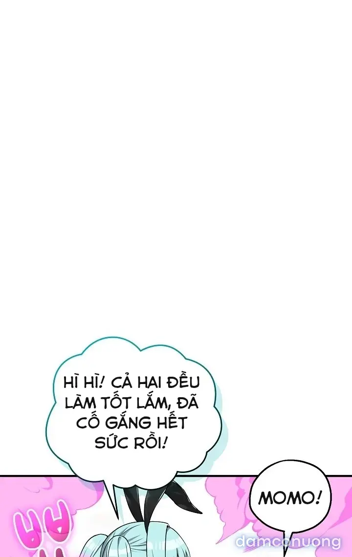 Trò chơi cờ bàn thú vị: 