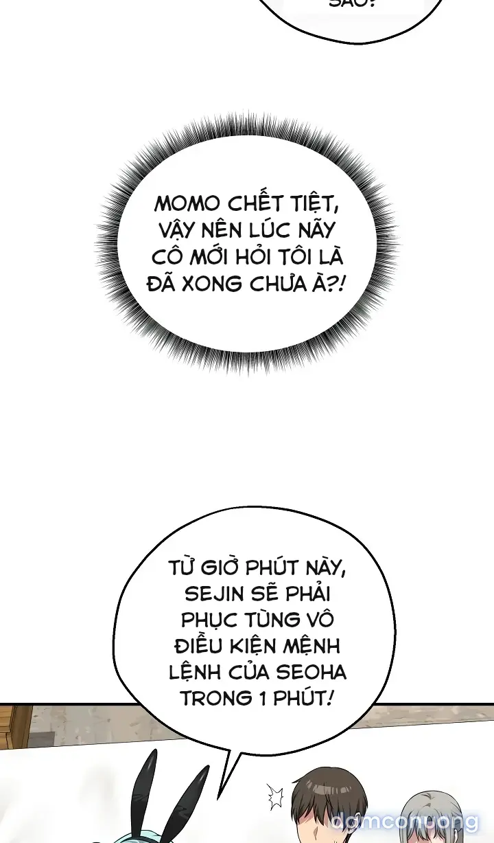 Trò chơi cờ bàn thú vị: 