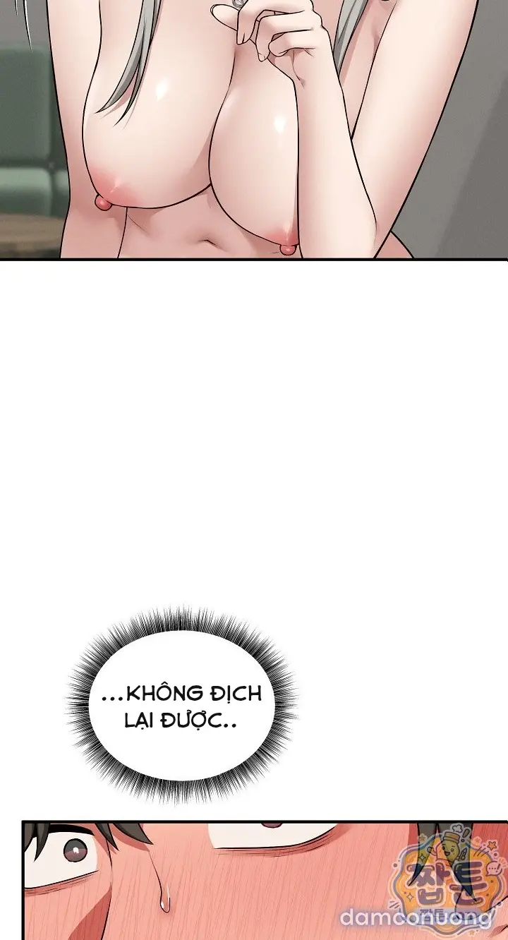 Trò chơi cờ bàn thú vị: 