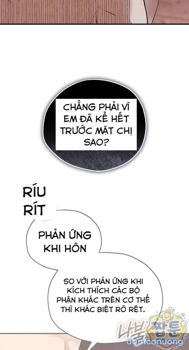 Trò chơi cờ bàn thú vị: 
