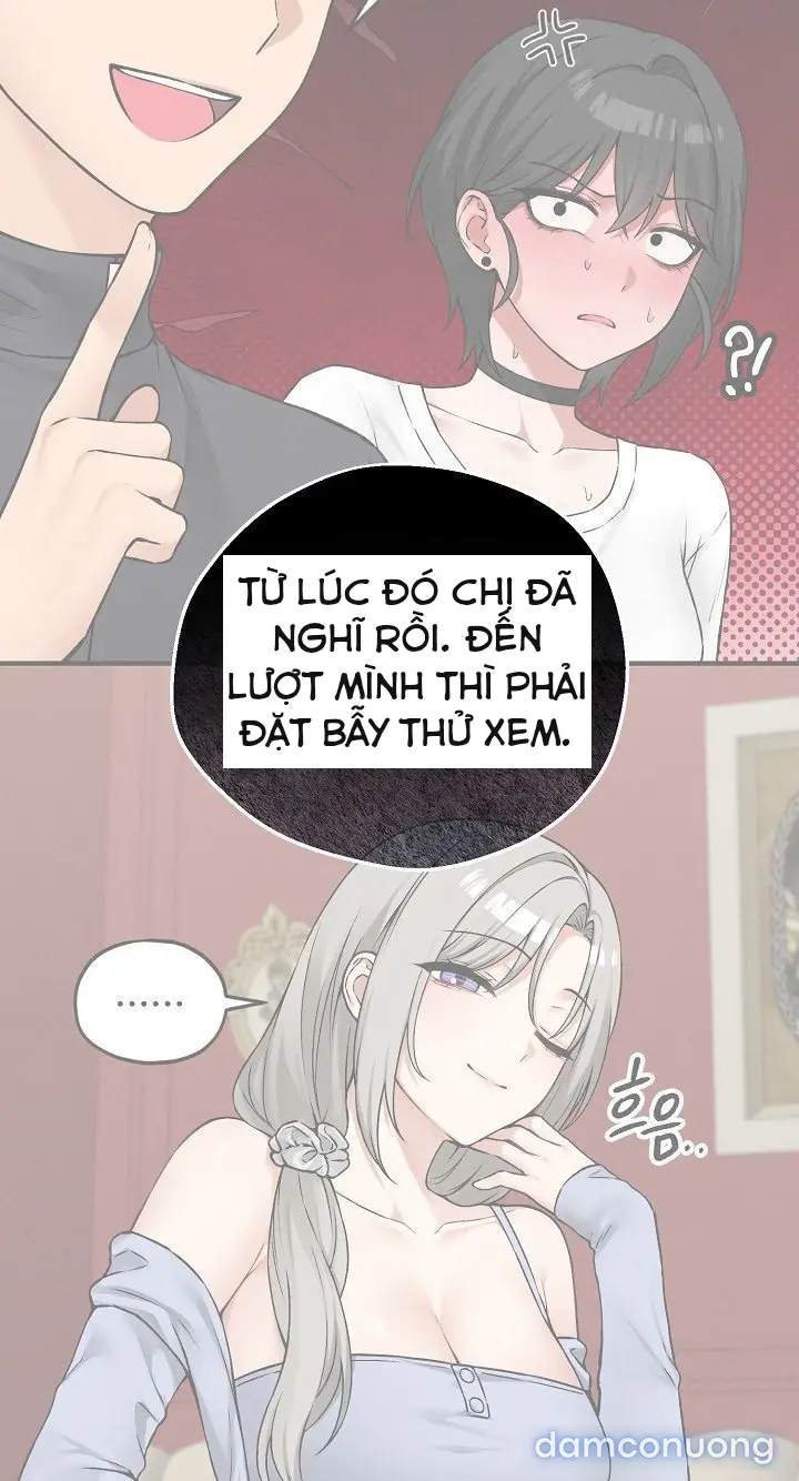 Trò chơi cờ bàn thú vị: 