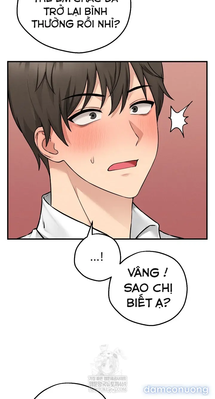 Trò chơi cờ bàn thú vị: 