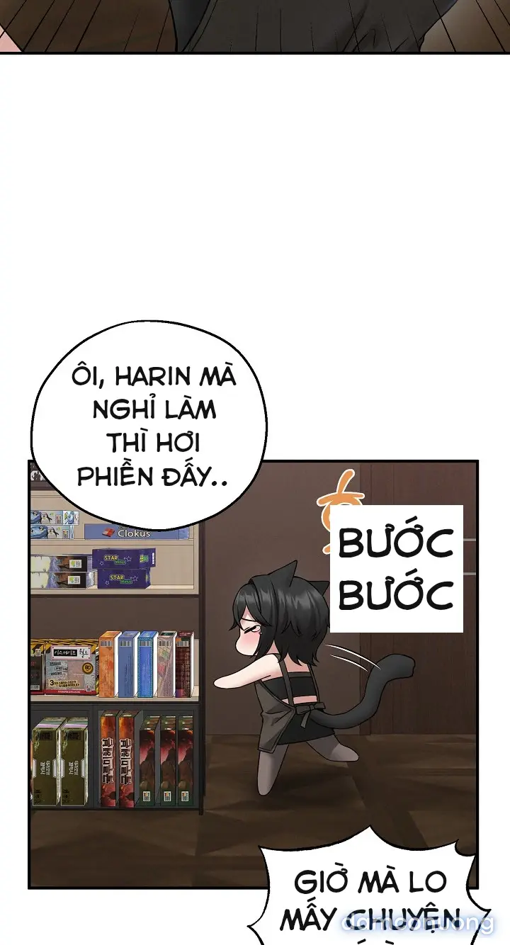 Trò chơi cờ bàn thú vị: 