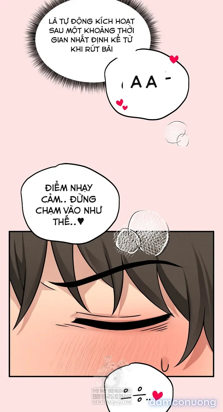 Trò chơi cờ bàn thú vị: 