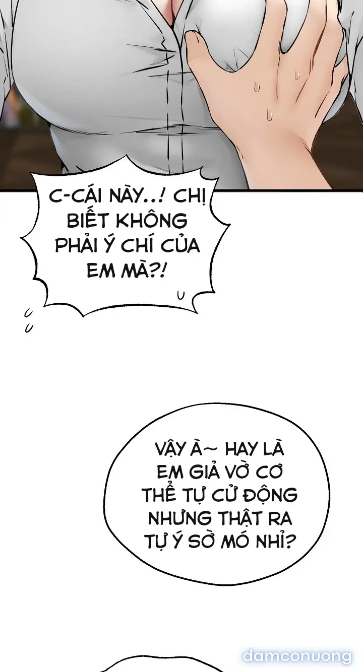 Trò chơi cờ bàn thú vị: 
