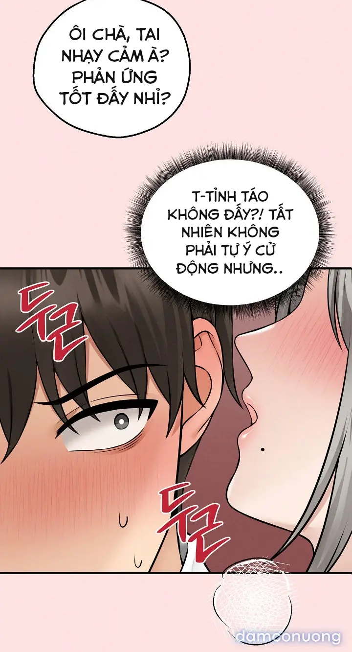 Trò chơi cờ bàn thú vị: 
