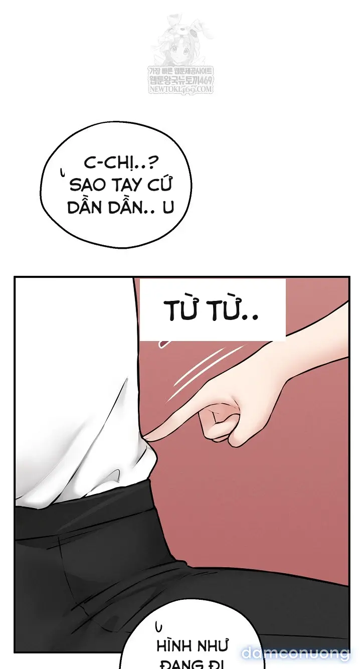 Trò chơi cờ bàn thú vị: 