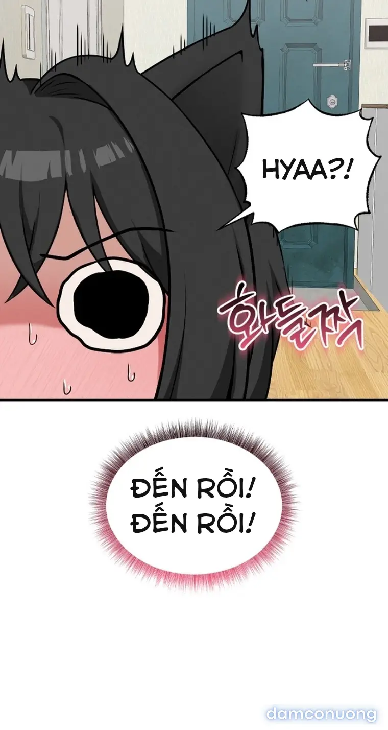 Trò chơi cờ bàn thú vị: 