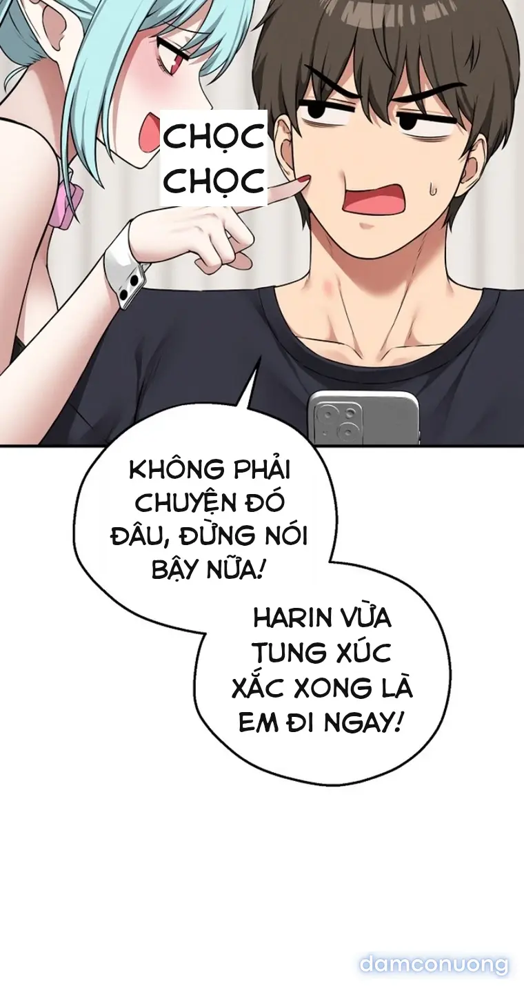 Trò chơi cờ bàn thú vị: 